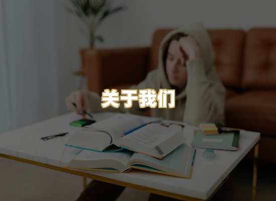 关于我们